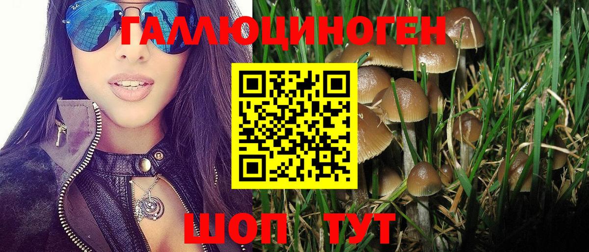 Югорск  Галлюциногенные грибы мицелий  Псилоцибиновые грибы Psilocybe  Вход с VPN 